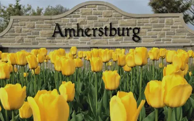 Amherstburg gateway sign with yellow tulips in the garden
